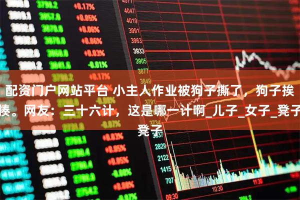 配资门户网站平台 小主人作业被狗子撕了，狗子挨揍。网友：三十六计，这是哪一计啊_儿子_女子_凳子