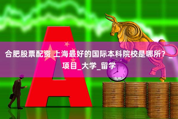 合肥股票配资 上海最好的国际本科院校是哪所？_项目_大学_留学
