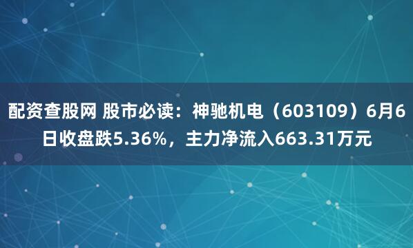 配资查股网 股市必读：神驰机电（603109）6月6日收盘跌5.36%，主力净流入663.31万元