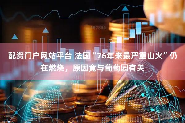 配资门户网站平台 法国“76年来最严重山火”仍在燃烧，原因竟与葡萄园有关